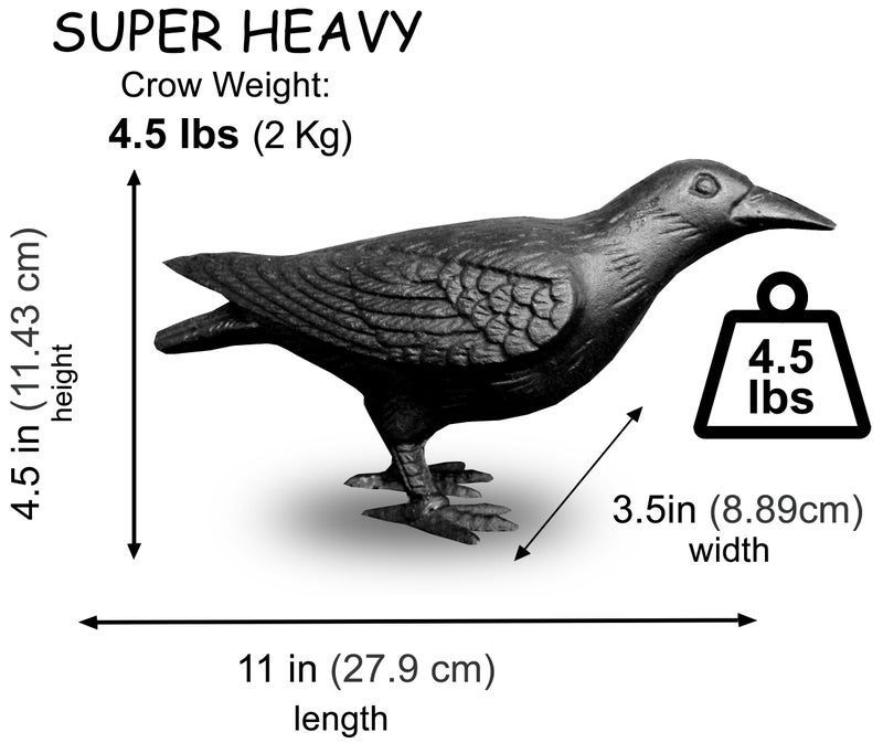 NACH Crow Decor, 4.5 x 11 x 3.5 inch, Cast Iron Black Raven Statue, Raven Decor for Outside - Head Up Crow Statue - Image 2